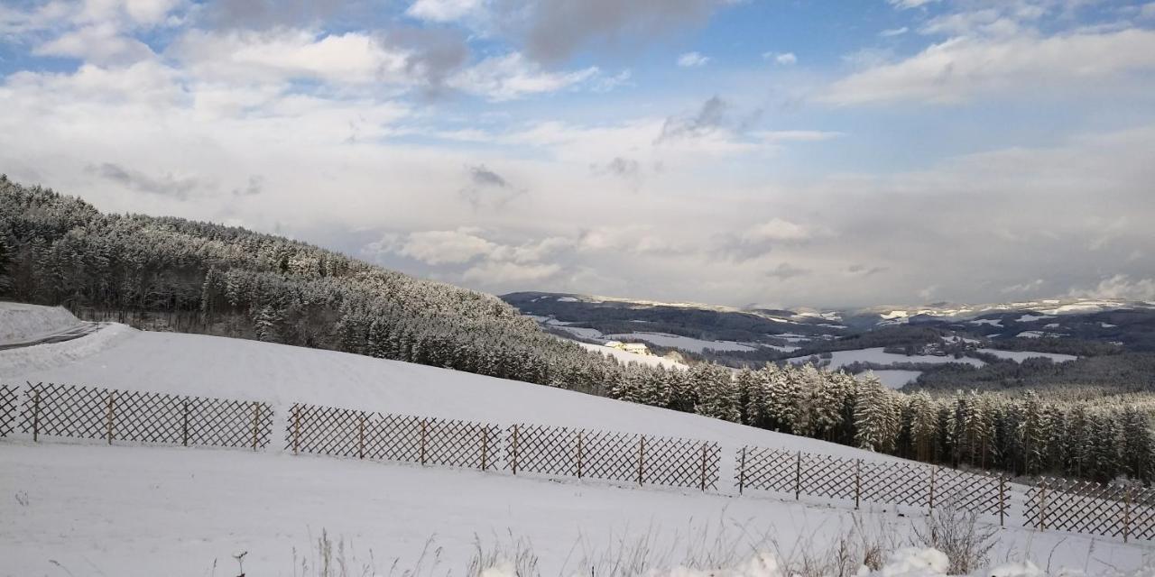 Wald-Panorama-Zimmer Bed & Breakfast Moenichkirchen Bagian luar foto