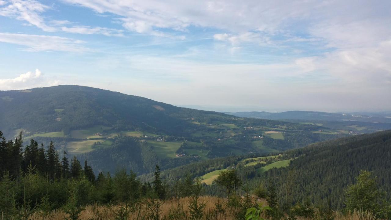 Wald-Panorama-Zimmer Bed & Breakfast Moenichkirchen Bagian luar foto