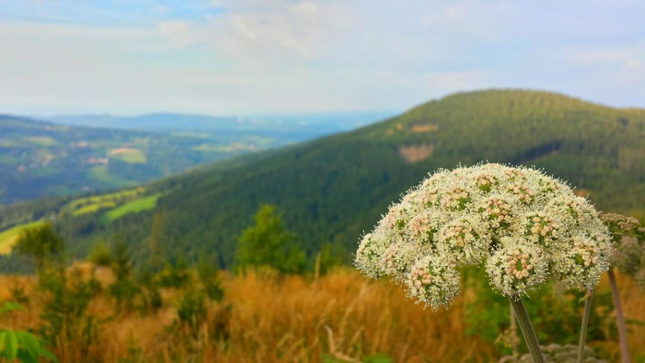 Wald-Panorama-Zimmer Bed & Breakfast Moenichkirchen Bagian luar foto